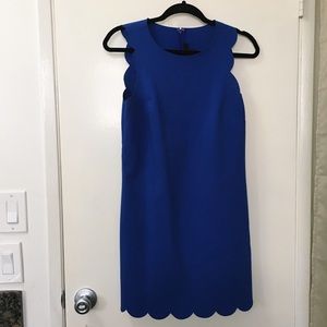 J Crew Royal Blue Scalloped Trim Dress